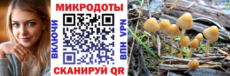 наркота  Спасск-Дальний  Галлюциногенные грибы Cubensis 